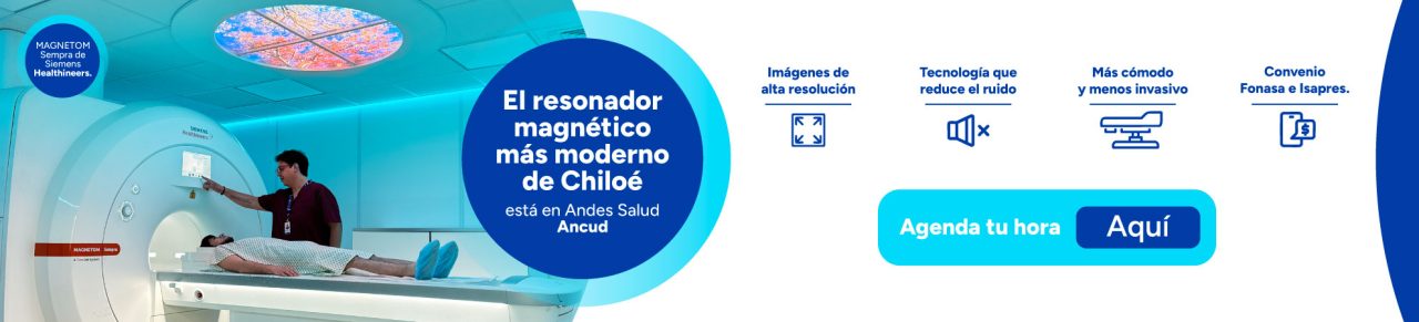 Banner Resonador Magnético Ancud