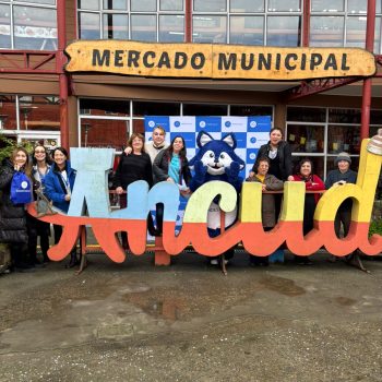 Operativo de salud en Ancud