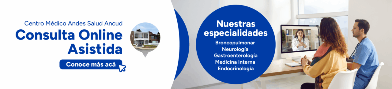 banner consulta online asistida