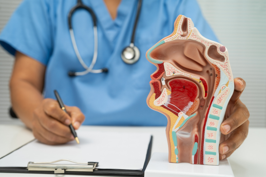 Frenillo Lingual Corto Tratamiento: conoce cuándo se recomienda la cirugía y agenda una evaluación con especialistas en cirugía maxilofacial y fonoaudiología.